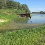 Zanzare, parte la prevenzione: incontro pubblico e larvicida a domicilio