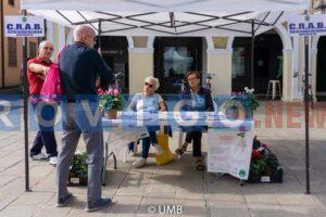 I volontari di Ancescao e Crab in piazza a Badia per la giornata del Ciclamino 