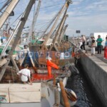 porto di pila
