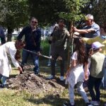 Villamarzana celebra la Festa dell’Albero: comunità unita per il futuro del verde