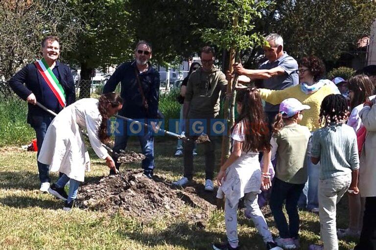 Villamarzana celebra la Festa dell’Albero: comunità unita per il futuro del verde