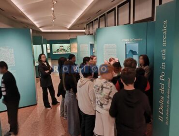 Dalla classe al museo: un anno di tour didattici nelle realtà del Sistema Museale Provinciale Polesine